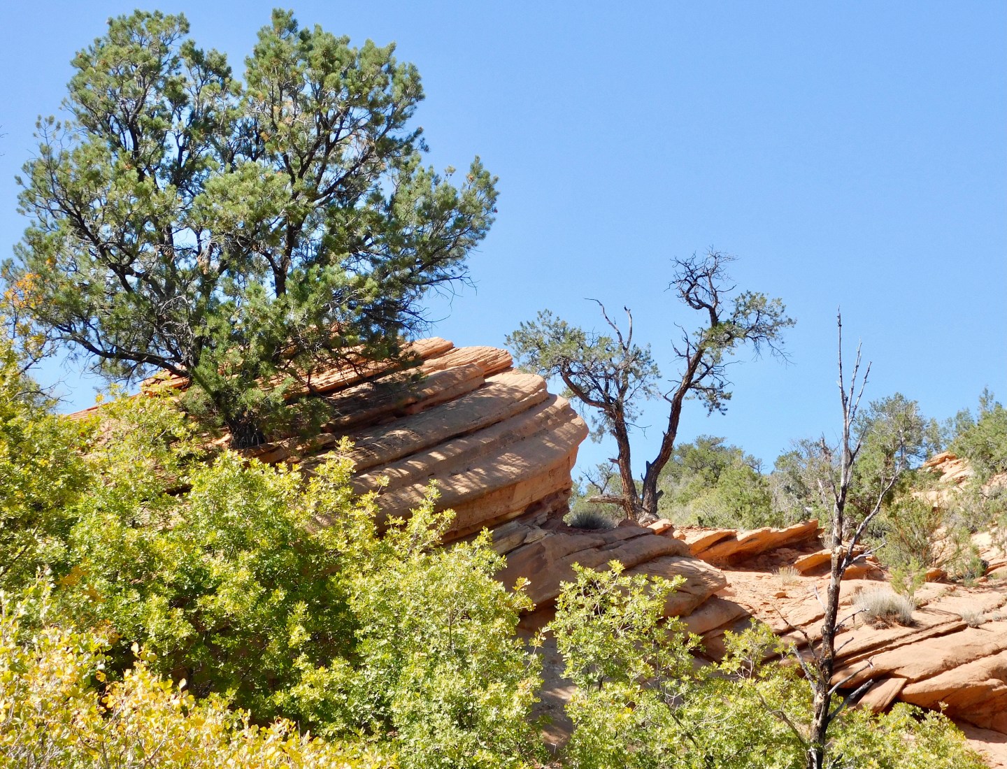 Hogs Back Rocks The Beautiful and Terrifying Hogback – Travels Through My Lens